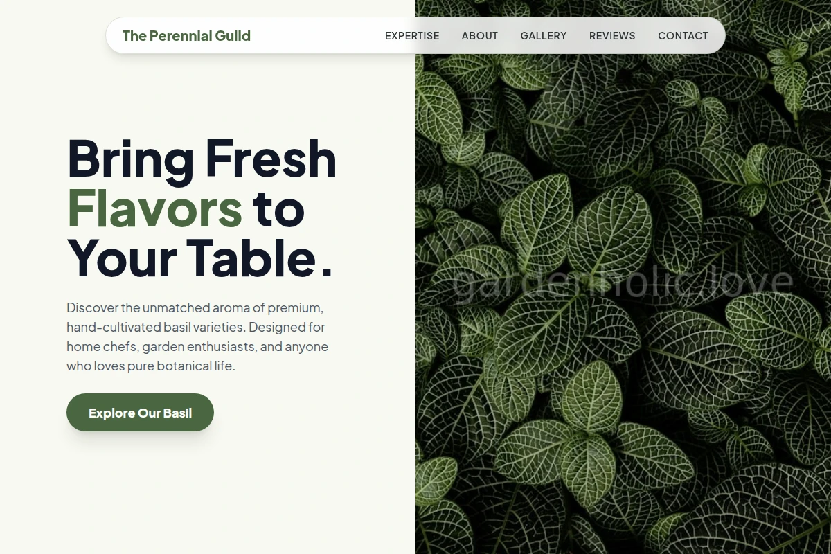 Basil Plants